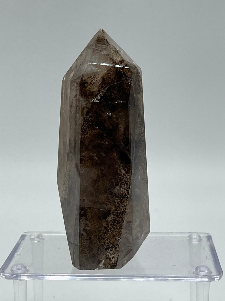 Dendritic Quartz B