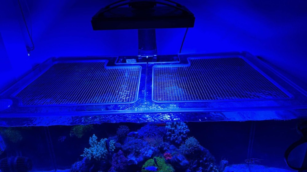 Custom Solid Polycarbonate Clear Aquarium Lid