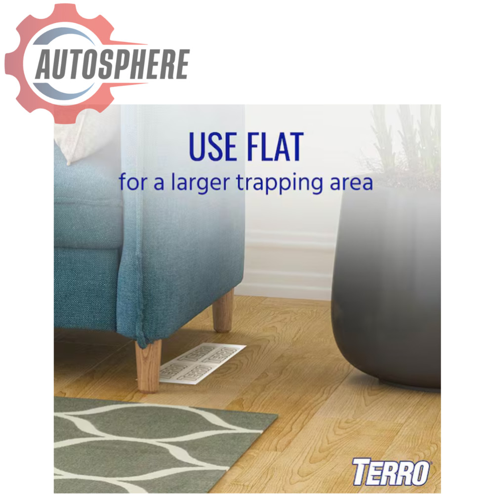 Terro T3206 Spider & Insect Traps – Indoor Use, 1 Pack, White