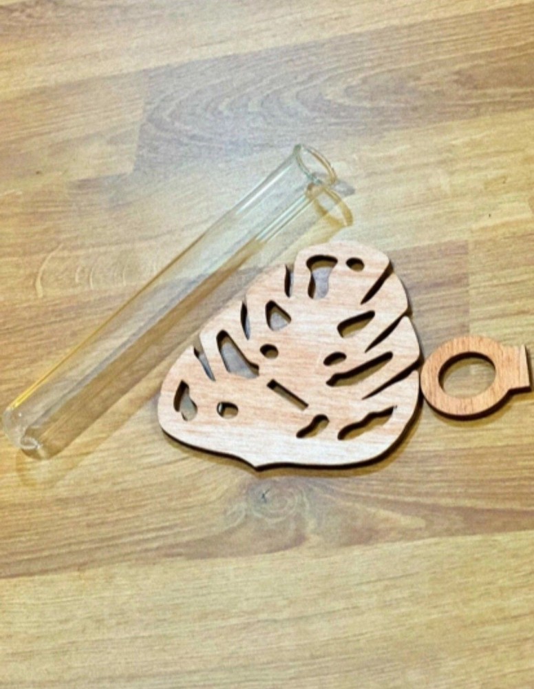 Test Tube Monstera Propagation Wall Deco