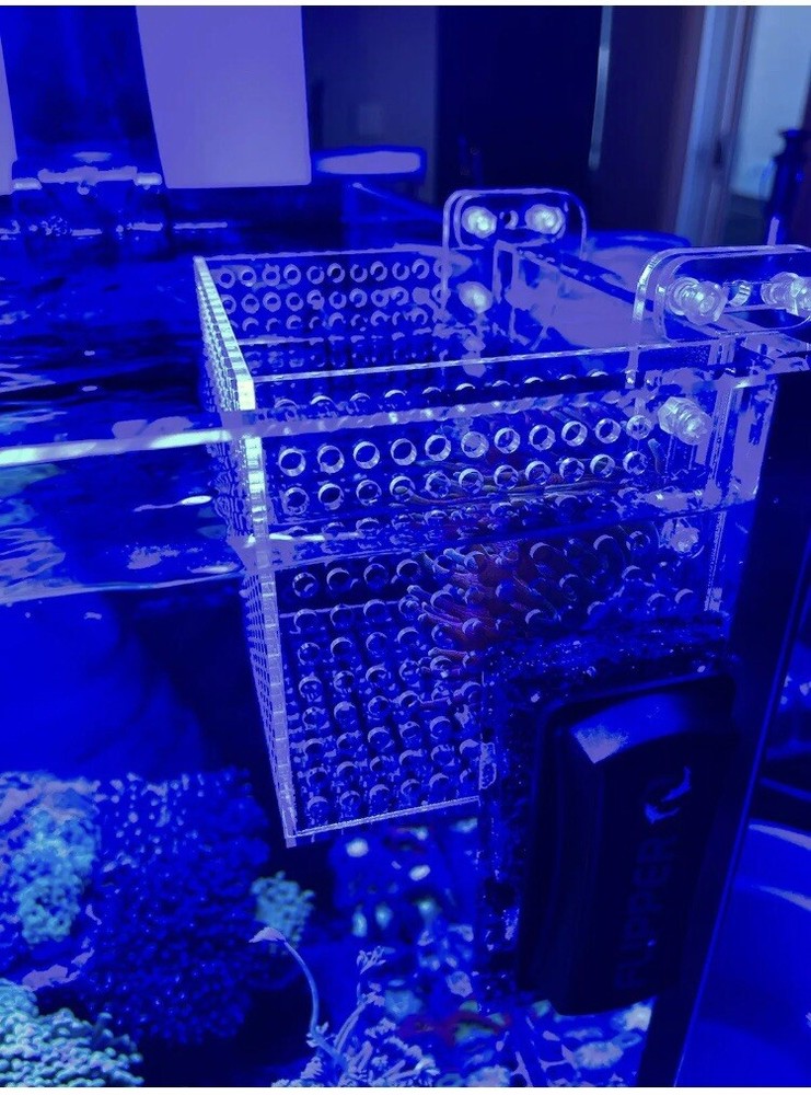 New Nano Mushroom Box Anemone Box