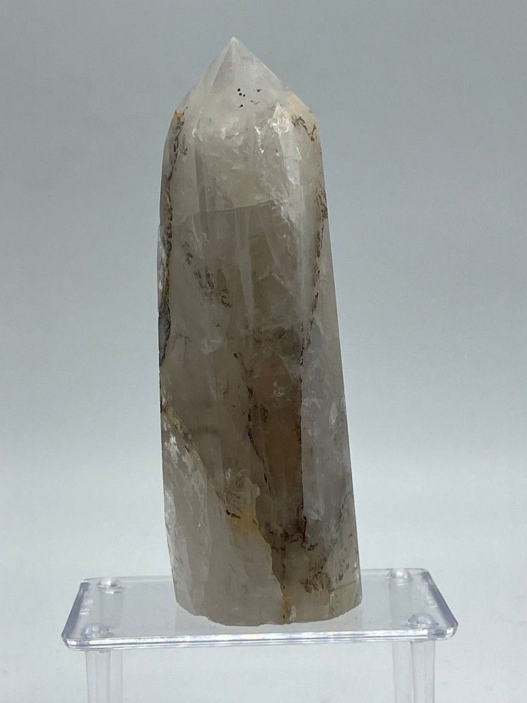 Dendritic Quartz H
