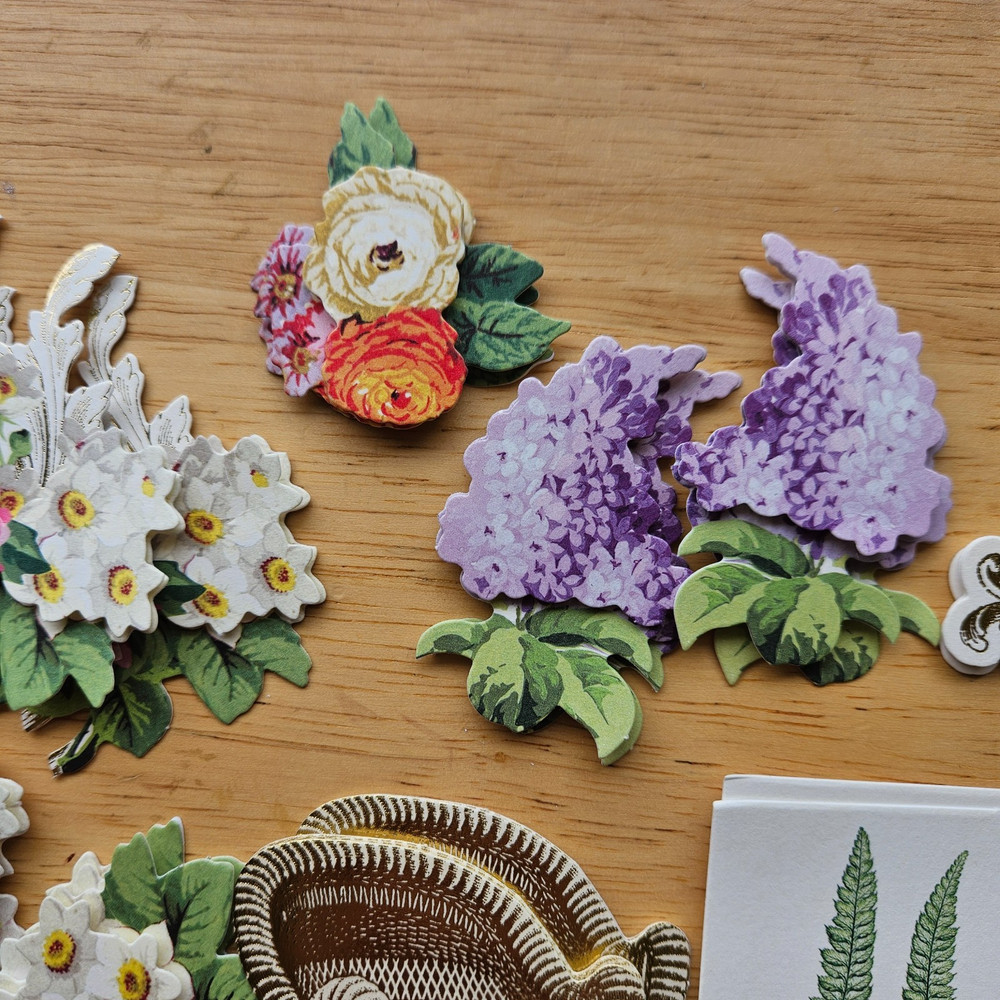 Anna Griffin 30 Pc. Embellishments Stickers