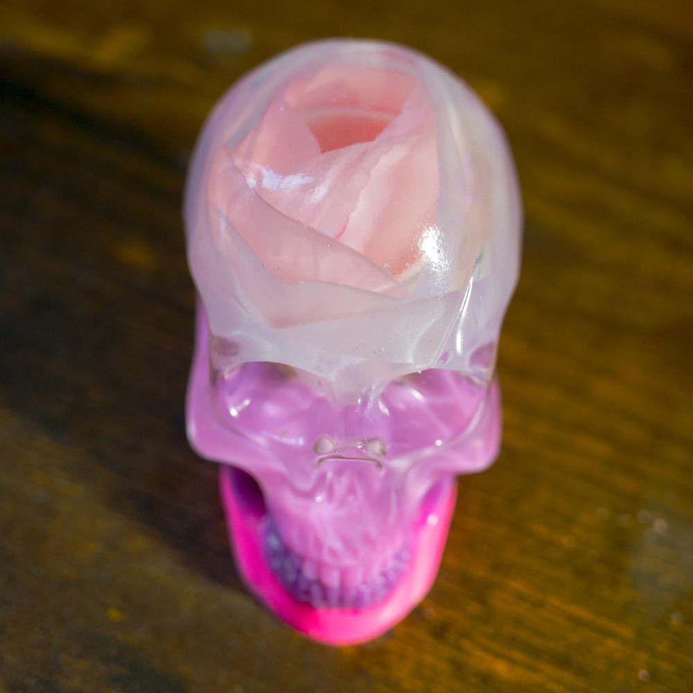 Pink Floral Decorative Skull