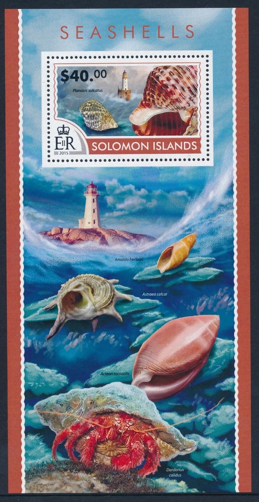2015 SOLOMON ISLANDS SEASHELLS MINI SHEET ($40) FINE MINT MNH