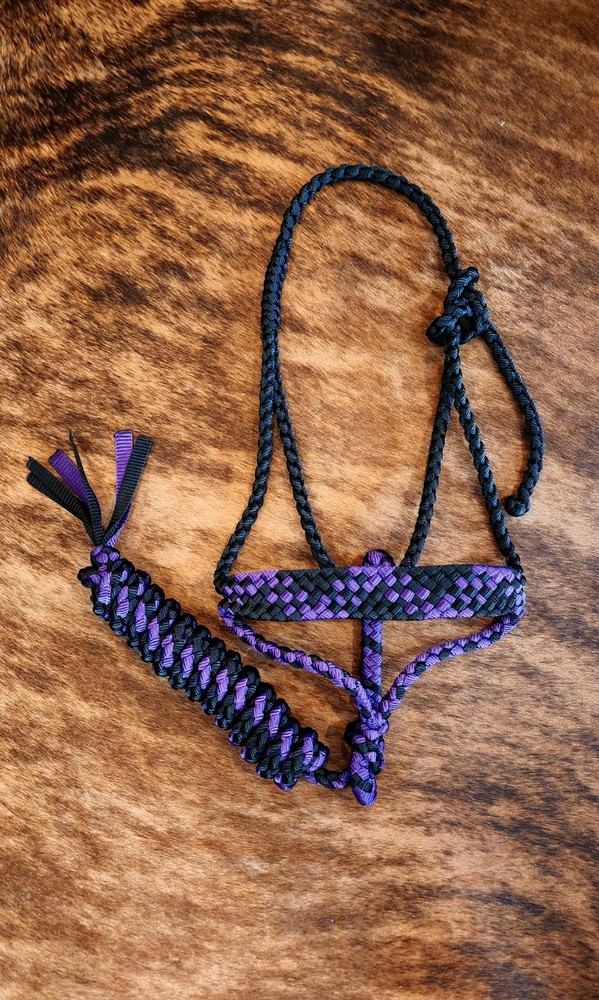 black/purple mule tape halter