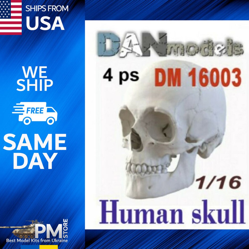 Dan Models 16003 Human  skulls. 4 things 1/16