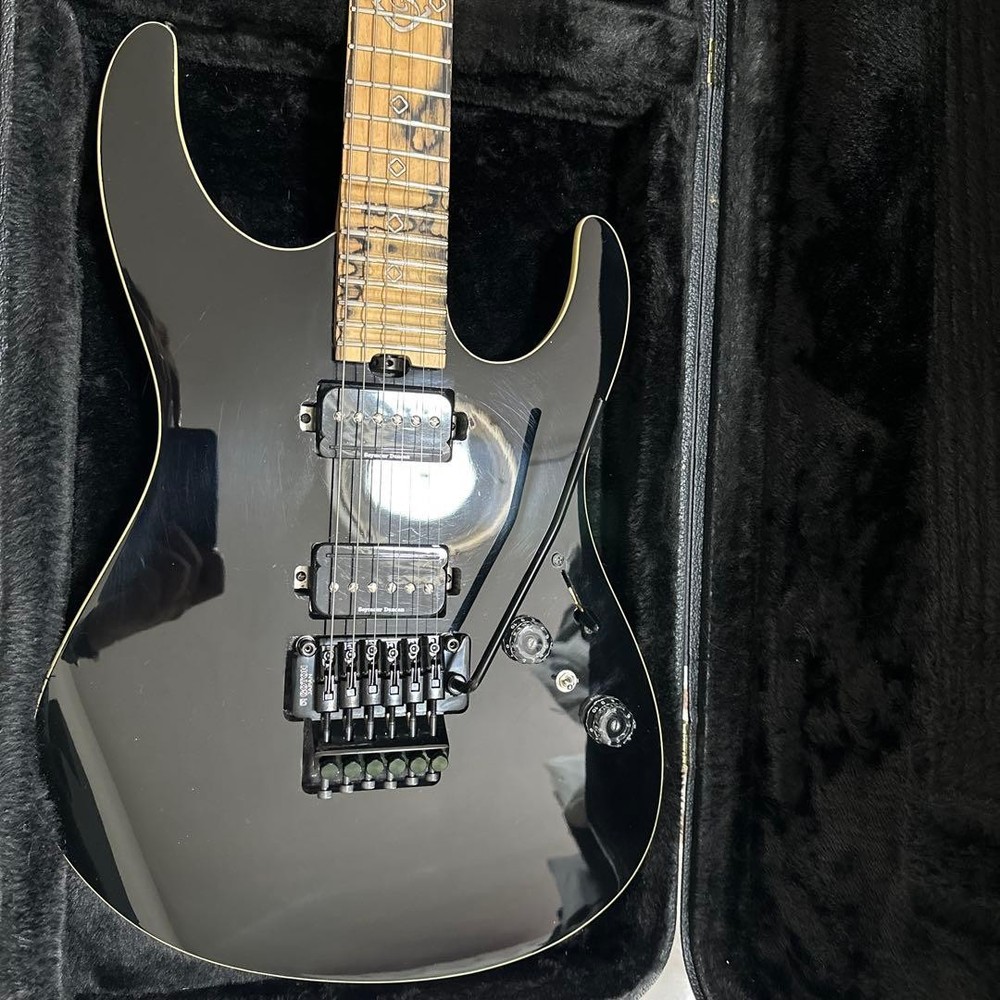 Futra/Mr. Nishio collaboration model, many customizations
