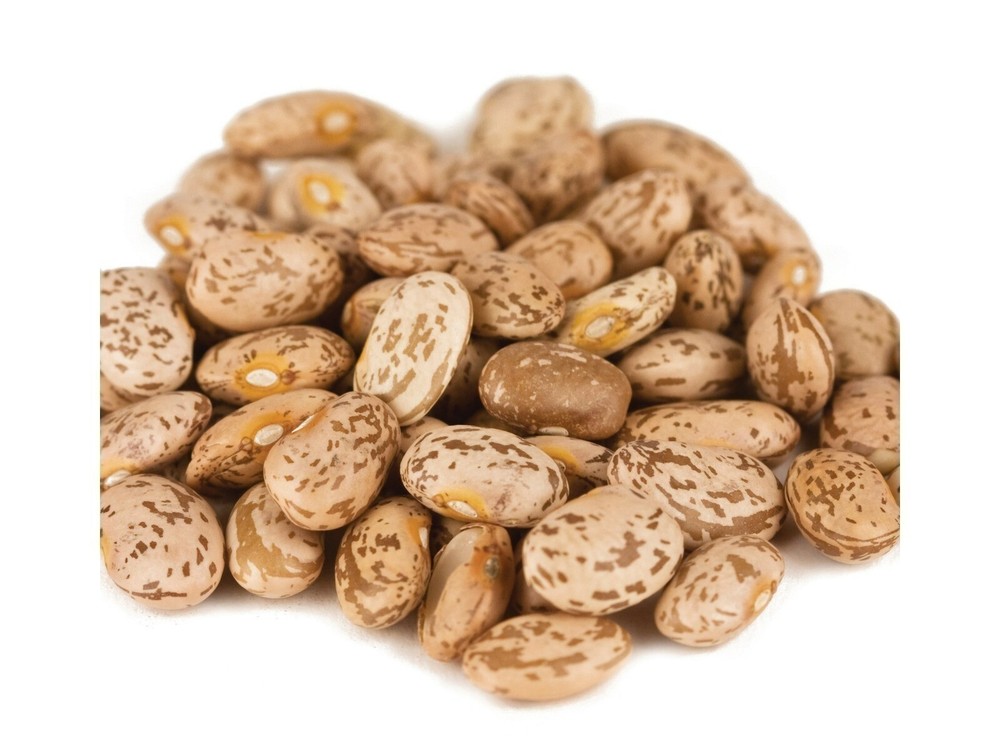 Pinto Bean Beans 2 Pounds Free Shipping