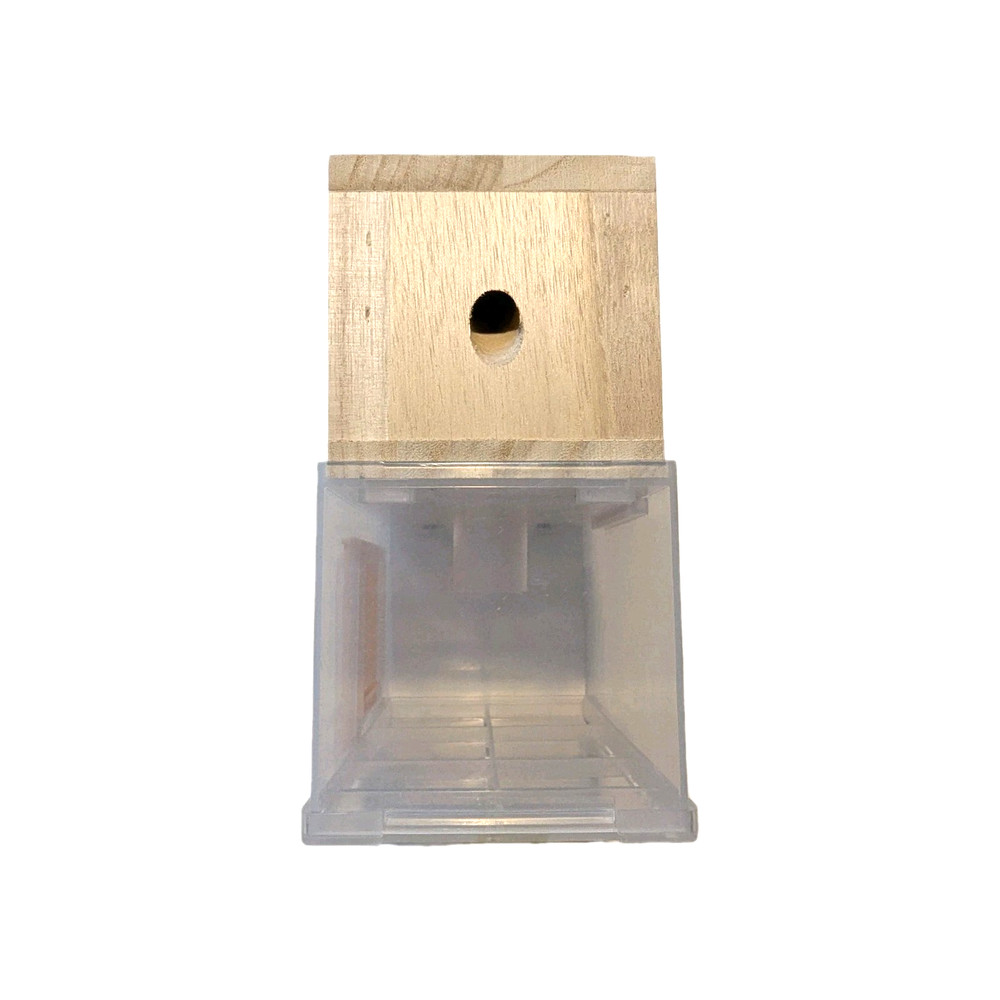 BeesnThings Hanging Bee Trap