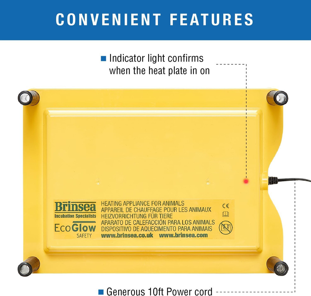 Ecoglow Safety 600 Chick or Duckling Brooder, Adjustable Height & Angle Brooder