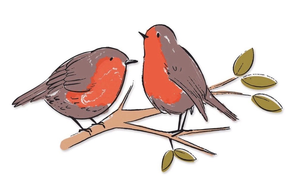 Layerd Birds Clear Rubber Stamp