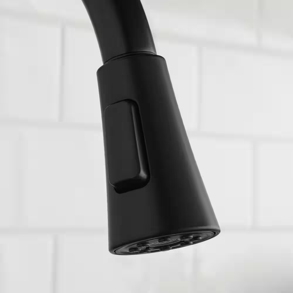 Sadira Single-Handle Pull-Down Sprayer Kitchen Faucet in Matte Black