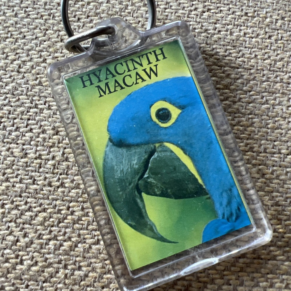 Vintage Keychain Macaw Bird Bird World