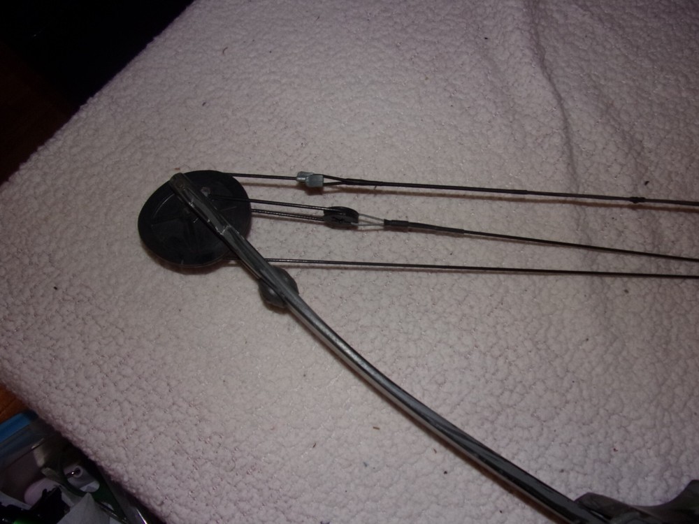 Bear Archery Cabela's Lightning Express Compound Bow