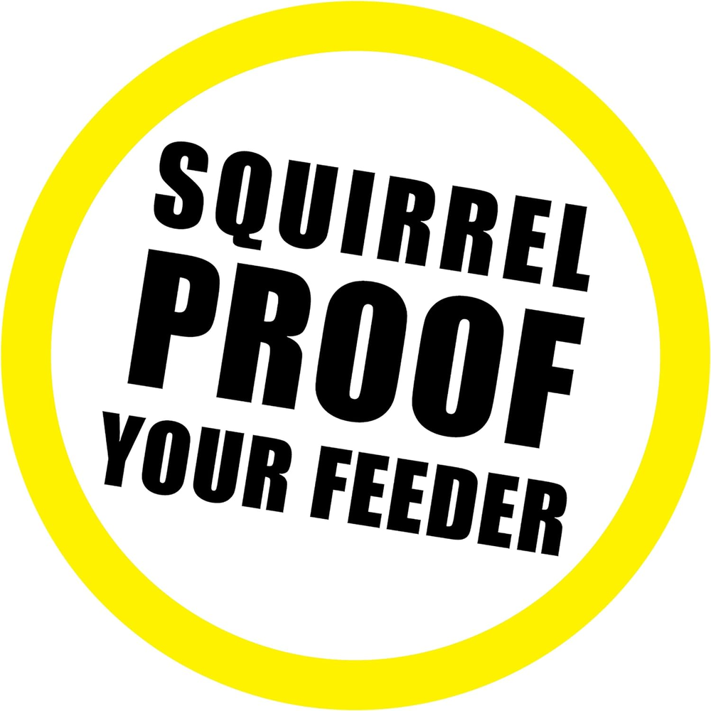 Scram, Squirrel by Slinky, Squirrel-Proof Bird Feeder Accessory That Guards Bird