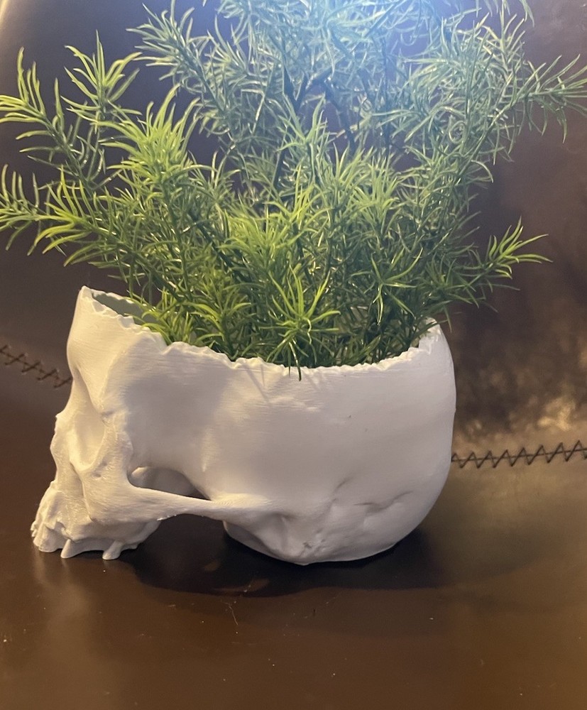 Plastic White Human Skull Pot Planter For Succulents