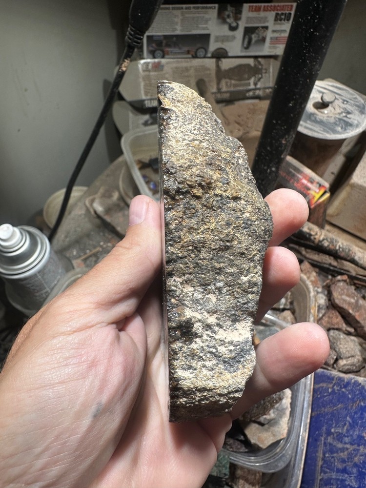 Dinosaur bone rough **hxtled end cut.