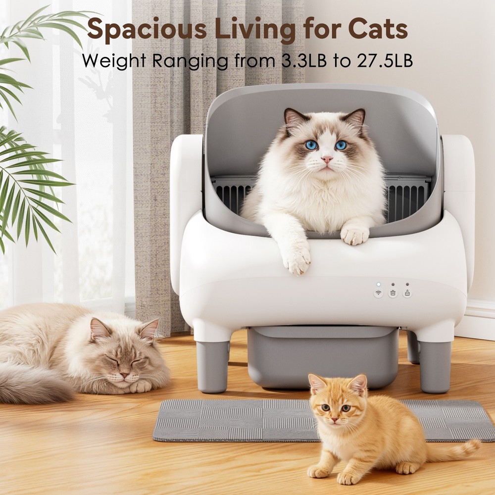 Used Automatic Self-Cleaning Cat Litter Box, APP Control, Open Top, Odor Lock