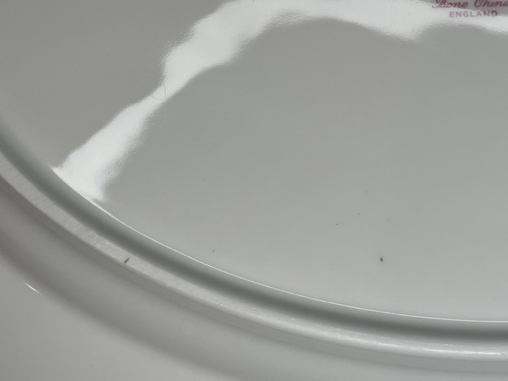 ROYAL ALBERT “Winsome” Bone China 13” Oval Serving Platter EUC