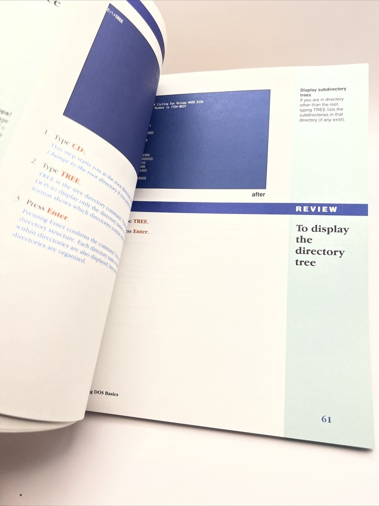 QUE Easy DOS in full color G4