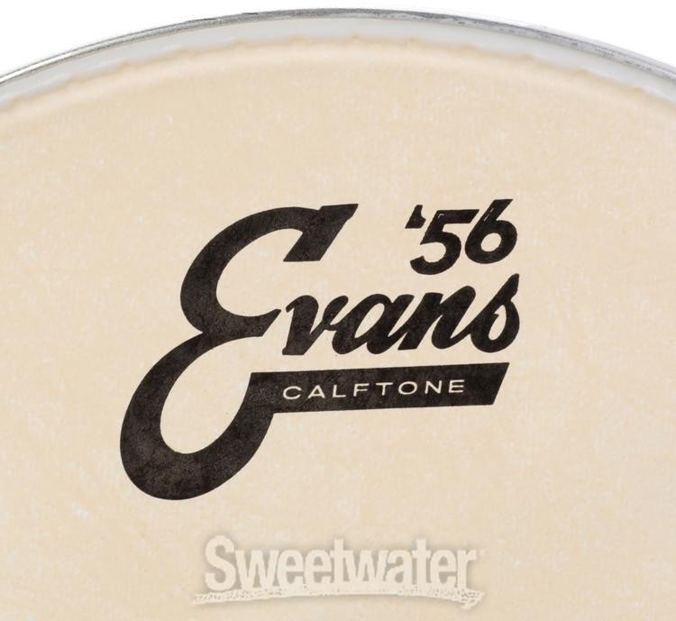 Evans Calftone Drumhead - 10"