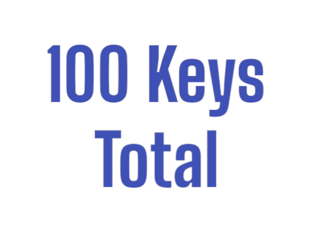 Plastic Head Key Blanks B91 B96 B102 New (100 PACK)