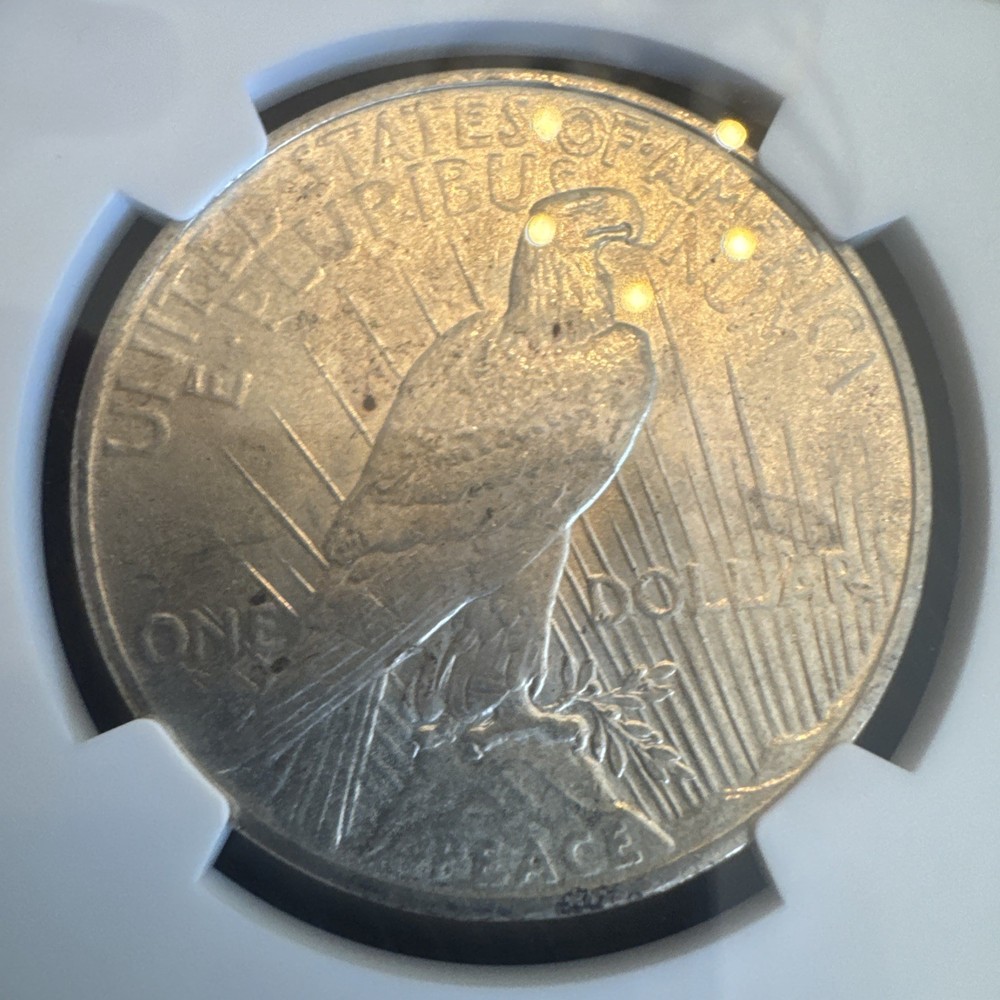 Peace Silver Dollar 1925 - 90% Silver Verified - NGC MS64