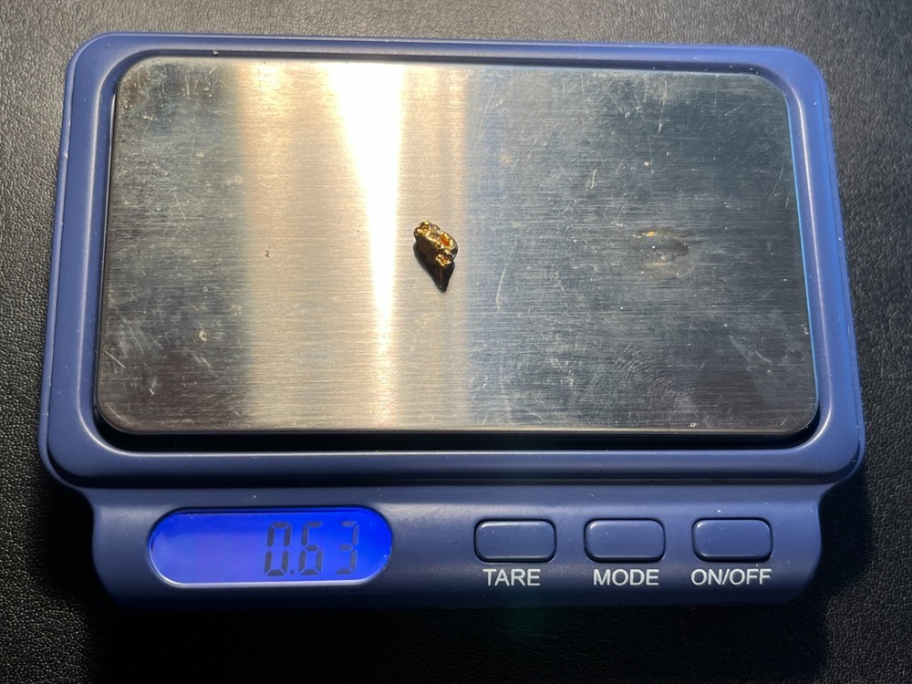 ALASKA GOLD NUGGET .63 GRAMS NICE