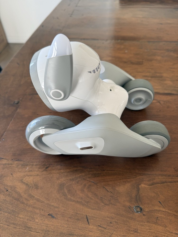 LOONA The PetBot