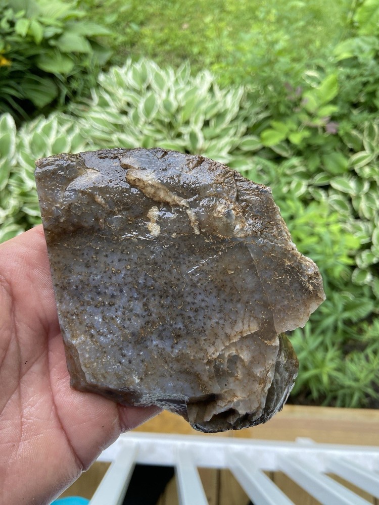 Large Cells Dino Bone Slab Very Thick 13 Oz