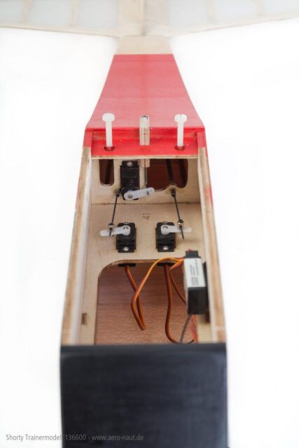 Sporty Remote Controlled Trainer with flaps