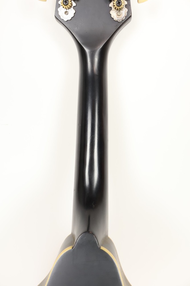 Harmony HARMAN DTSM Acoustic Mandolin