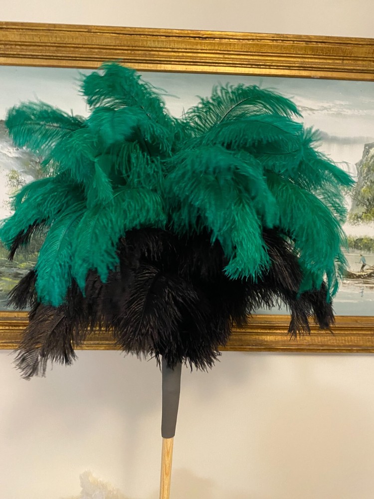 First grade ostrich feather display with 80grm 2 colour ostrich feathers -