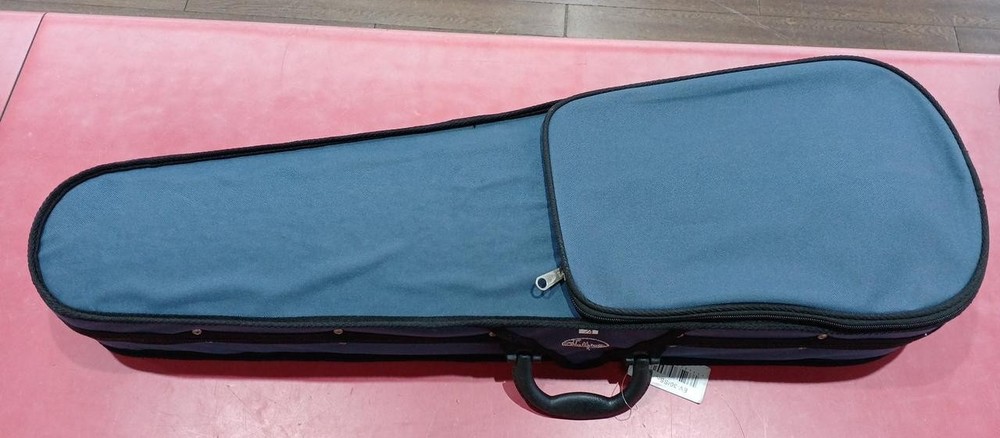 Hallstatt Ev-30/Sbk Electric Violin