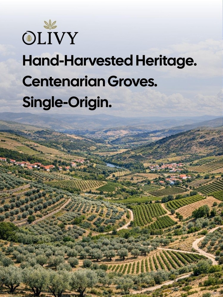 Extra Virgin Olive Oil 500 mL, Cold Pressed, Low Acidity ≤0.3% | Gift Box