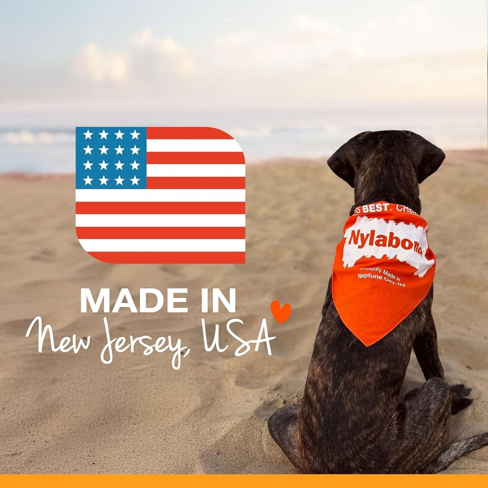 Nylabone Power Chew Ring Bone - Durable Dog Toy for Aggressive Chewers (X-Small)