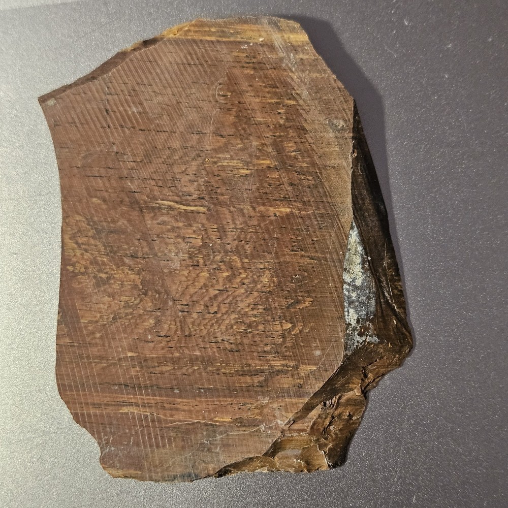 Deschutes Jasper Lapidary Slab 90 Grams