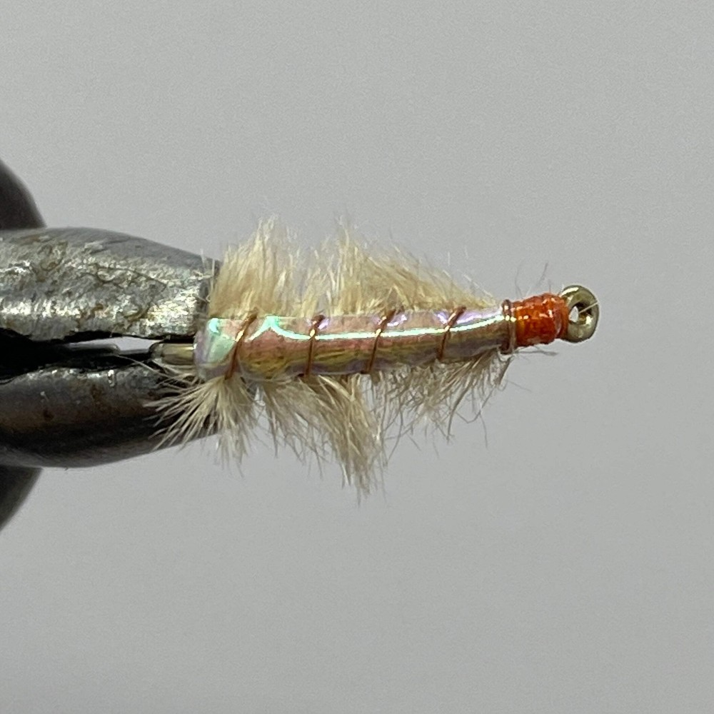 One Dozen (12) - Ray Charles - Tan