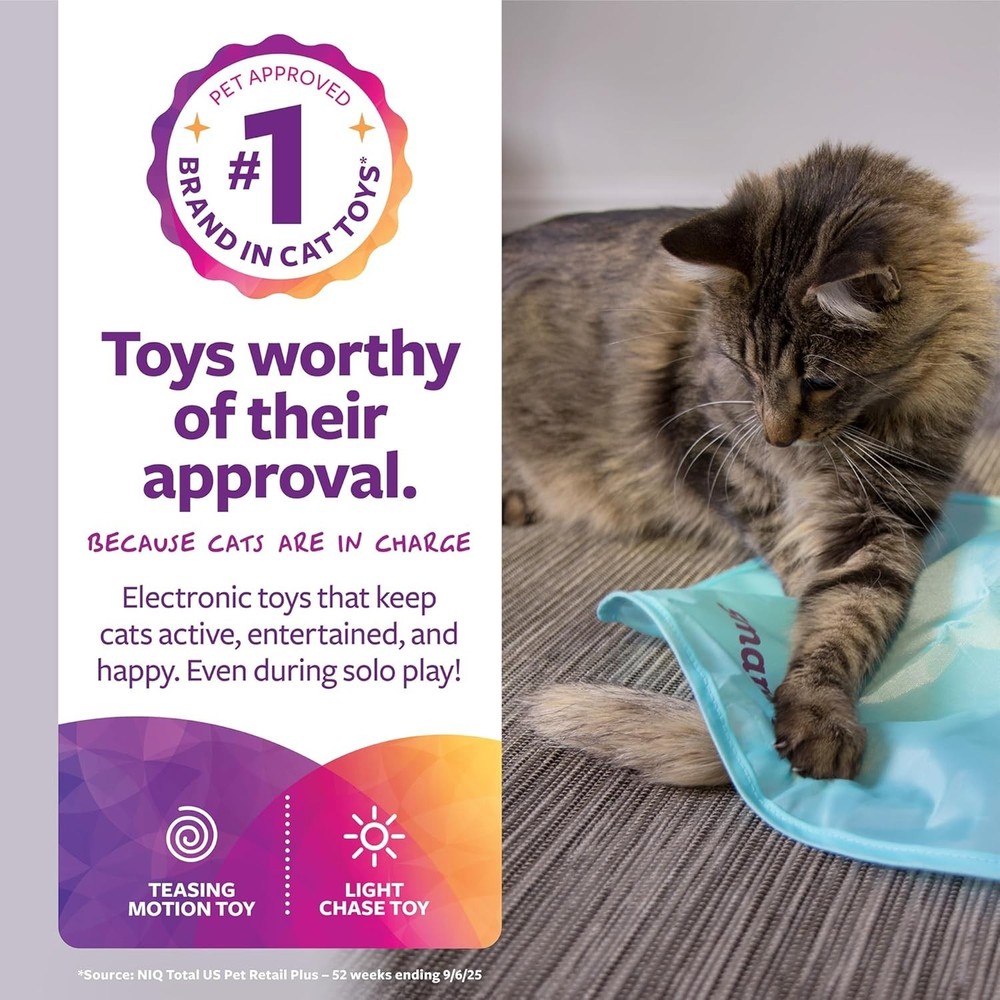 Interactive Electronic Motion Toy for Cats - A Fun Indoor Exercise Experience