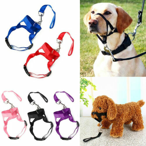 Gentle Halter Leash Gentle Leader Head Collar No Pull for Training Dog Muzzle  ✨