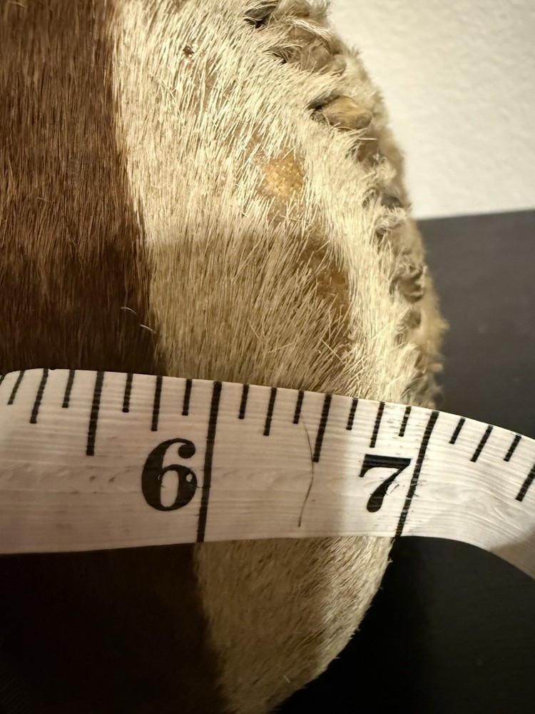 African Bongo Drum Zebra Fur 12” Djembe