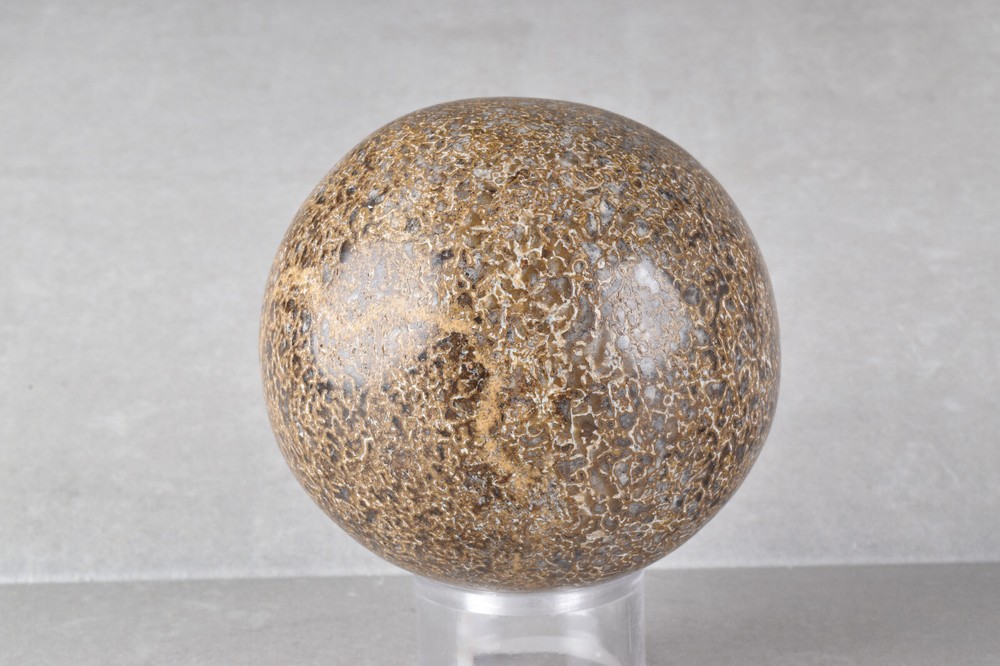 Dinosaur Bone Sphere from Morocco 6.8 cm # 21482