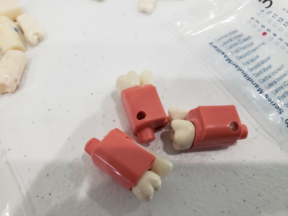 Modupro Replacement Modules - Endo Extracted Tooth Substitute- Acadental 67 pcs