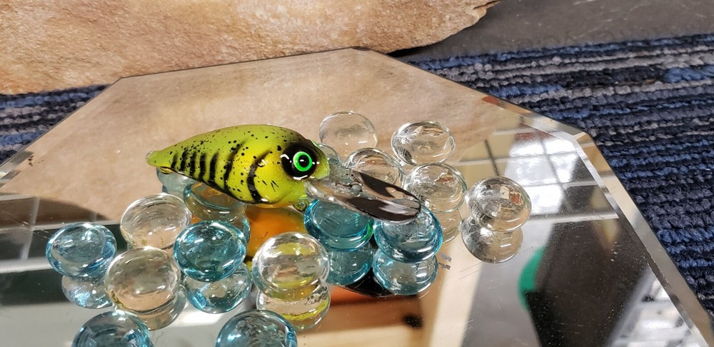 custom painted Wiggle wart crankbait (CRAW)