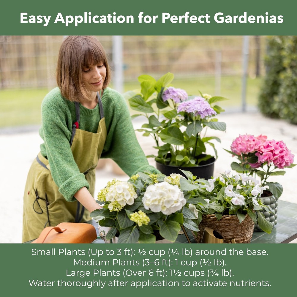 GARDENWISE Slow Release Hydrangea 12 OZ, Acidic Fertilizer