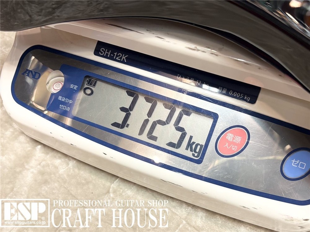 E-II HORIZON SGZ Custom Black