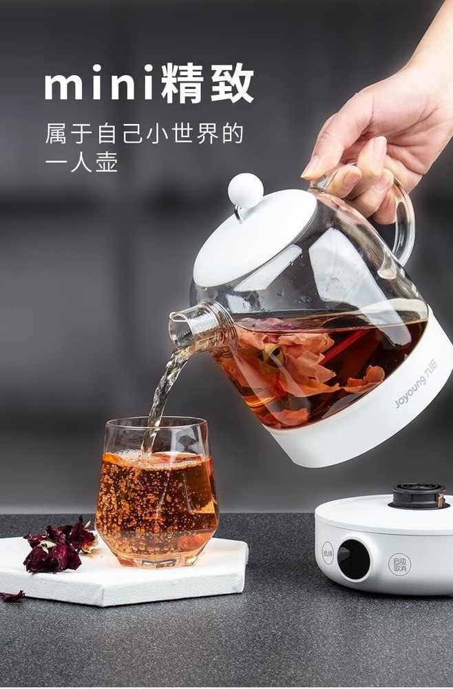 JOYONG Multi-Function Wellness Kettle - Automatic Herbal - Soup -Poridge cooker
