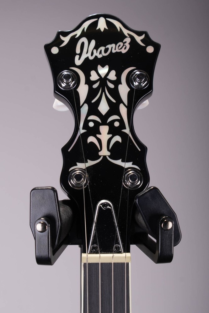 Ibanez B300 5 String Closed Back Banjo Natural