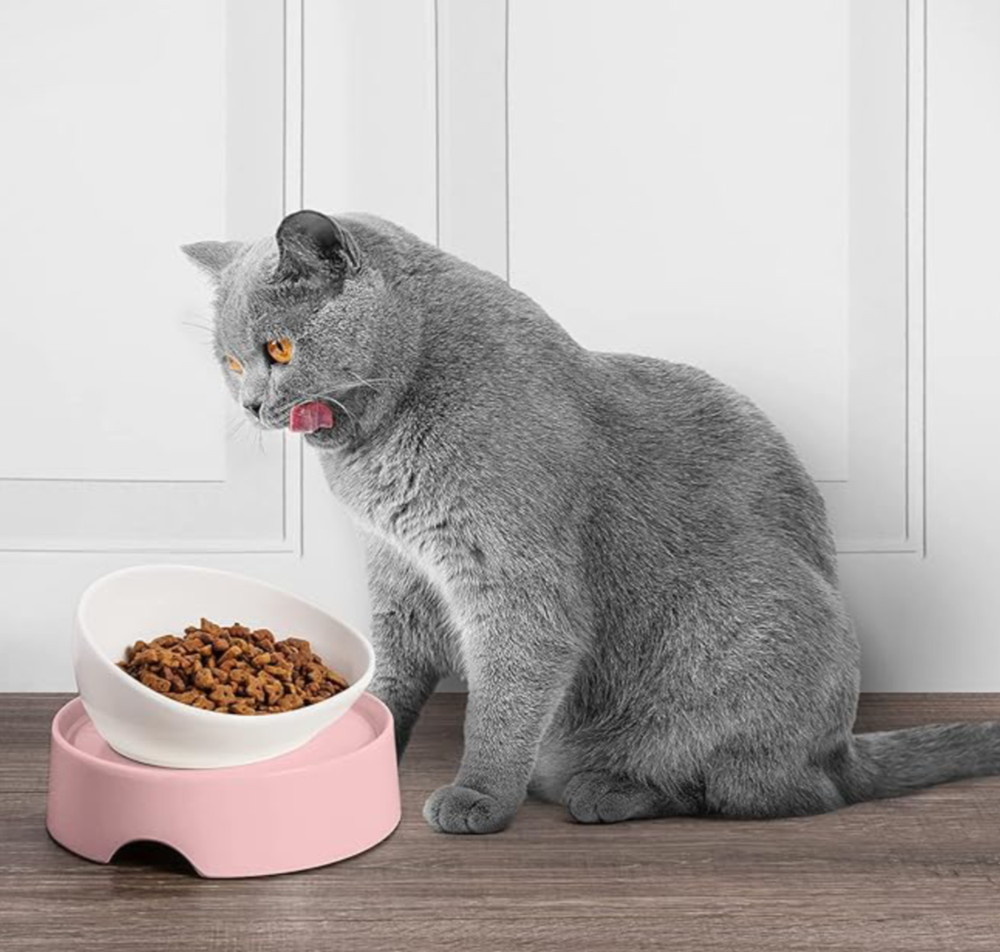 CatGuru Food Table for Elevated Dining Station Pink